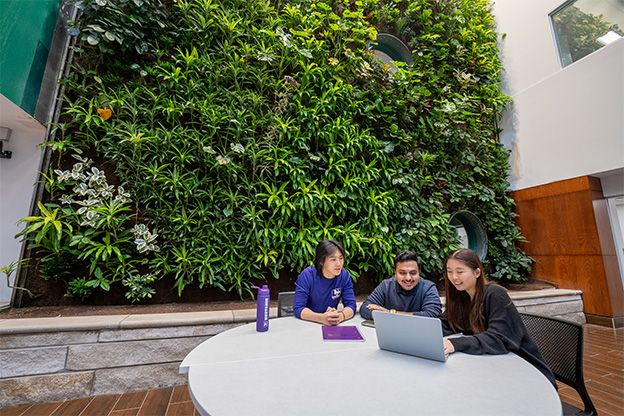Students studying in a university common space.